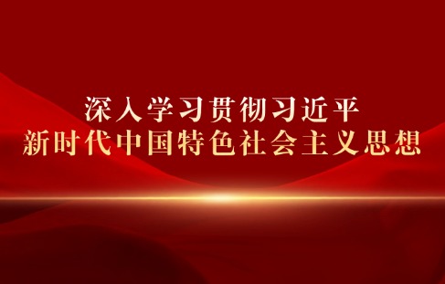 深入学习贯彻习近平新时代中国特色社会主义思想